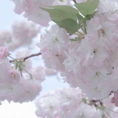 陇西FurryQQ群介绍